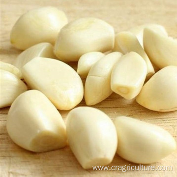 New Crops Factory Supply Peeled Garlic